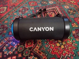 Портативная колонка Canyon BSP-7 9W Black (CNE-CBTSP7)