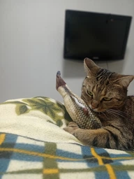 Набір іграшок для котів Риба з м'ятою котячої та миша коту 20 см коричнева