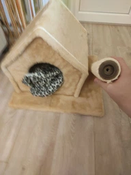 Когтеточка Lucky Pet домик сизалевый "Фани" Серая 50х40х40 см (4820224216157) фото от покупателей 2
