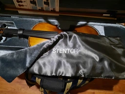 Скрипка Stentor 1542/A Graduate Violin Outfit 4/4 фото от покупателей 1