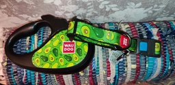 Поводок-рулетка для собак Collar WAUDOG R-leash, рисунок "Авокадо", S, до 15 кг, 5 м, светоотражающая лента (8124-0048-01) фото от покупателей 1