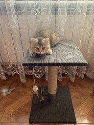Когтеточка Природа "Феликс" Микс, 36х36х54 см