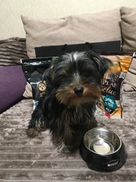 Purina PRO PLAN Small & Mini Puppy Healthy Start сухой корм для щенков мелких пород, с курицей 7 кг фото от покупателей 12