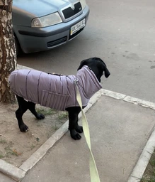 Пуховик Noble Pet Bobby Navy B4118/XL (00001687) фото от покупателей 2