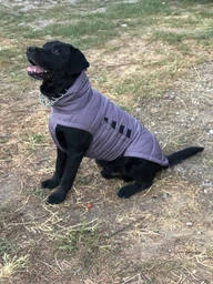 Пуховик Noble Pet Bobby Navy B4118/4XL (00001717)