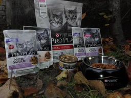 Вологий корм для кошенят Purina Pro Plan Kitten Healthy Start шматочки в паштеті з індичкою 75 г (77653) фото від покупців 1
