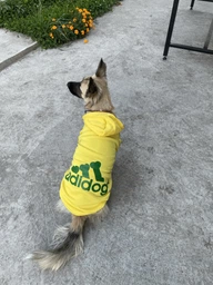 Толстовка для собак Adidog L Рожевий фото від покупців 3