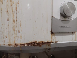 Бойлер Zanussi ZWH/S 80 Smalto фото від покупців 1