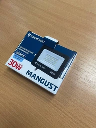 Прожектор Enerlight MANGUST 30Вт 6500K (MANGUST30SMD80С)