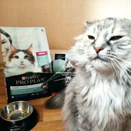 Сухий повнораціонний корм для стерилізованих котів старше 7 років Purina Pro Plan LiveClear для зменшення алергенів на шерсті з індичкою 1.4 кг фото від покупців 13