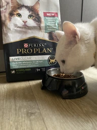 Сух.корм PRO PLAN LiveClear Sterilised Adult для стерил.котов, с лос.1,4 кг(7613287232700) фото от покупателей 13