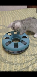 Іграшка для котів Trixie Трек ігровий з мишкою «Crazy Circle» d:24 см, h:29 см фото від покупців 1