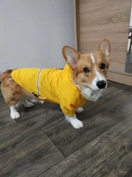 Куртка-дощовик для собак Noble Pet Moss Yellow M-Short (M4108/M-Short) фото от покупателей 16
