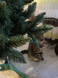 Искусственная ель Классика Noel 1,8м
