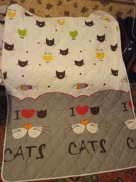 Одеяло РУНО силиконовое140х205 (321.137СЛК_My cat)