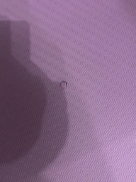 Набор для йоги EasyFit PRO фиолетовый-оранжевый (EF-YPVO) - коврик для йоги (каремат, йогамат для фитнеса), два блока (кирпича) и ремень (лямка)