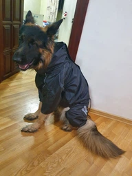 Одяг для собак дощовик с флісом Hunter для собак великих і середніх порід від спаніелю та корги до алабаю та вівчарки. SKU 00052 Розмір M. Your Stylish Hunter. Теплий водостійкий одяг для собаки. фото від покупців 4