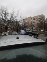 М'яка іграшка антистрес WONKEY Голуб Гриша 30см 33001 фото від покупців 3