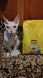 Сухой корм для кошек Purina Friskies со вкусом лосося и овощей 300 г (7613031868063)