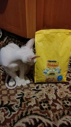 Сухой корм для кошек Purina Friskies со вкусом лосося и овощей 300 г (7613031868063) фото от покупателей 1