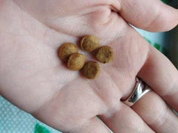Корм сухой Brit Grain Free VetDiet Cat Struvite для котов с мочекамяной болезнью с курицей и горохом 400 г фото от покупателей 1