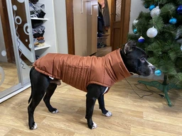 Пуховик Noble Pet Bobby Navy B4118/4XL (00001717) фото от покупателей 18