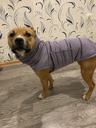 Пуховик Noble Pet Bobby Navy M (B4118/M)