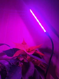 Фітолампа для рослин Brille LED-36/4x7W Fito GROW RM (L137-021) фото від покупців 3