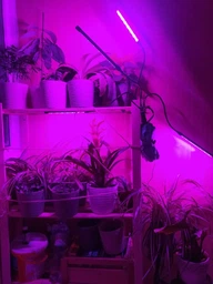Фітолампа для рослин Brille LED-36/4x7W Fito GROW RM (L137-021) фото від покупців 2