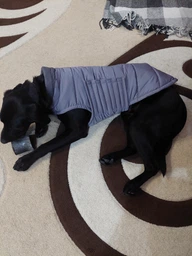 Пуховик Noble Pet Bobby Navy B4118/4XL (00001717) фото от покупателей 11