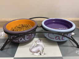 Подставка с мисками из керамики для кошек Trixie Eat on Feet 300 мл (4047974247914) фото от покупателей 8
