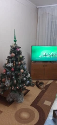 Елка Лидия зеленая с белыми кончиками и шишками 1 м