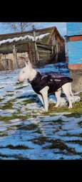 Жилетка для собак Актив XL Черно-серый фото от покупателей 5
