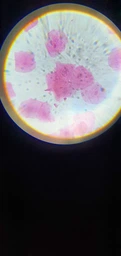 Микроскоп учебный школьный детский My First Lab MFL-06 (MFL-066340NEW) фото от покупателей 2