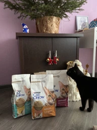 Сухой корм для взрослых кошек Purina Cat Chow Urinary для поддержания здоровья мочевыводящей системы, с курицей 1.5 кг (5997204514387) фото от покупателей 17