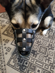 Намордник м'який Collar №2 (доберман, вівчарка сука, далматин) Чорний (06291Collar) фото від покупців 1