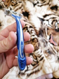 Одноразовые станки для бритья (Бритвы) мужские Gillette Blue3 Comfort 3 шт (7702018489619) фото от покупателей 5