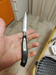 Ніж для нарізки м'яса Victorinox Grand Maitre Carving 10 см, чорний (Vx77203.10G)
