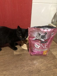 Сухий корм Purina One Junior для кошенят з куркою 450 г. (8445290071972) фото від покупців 10