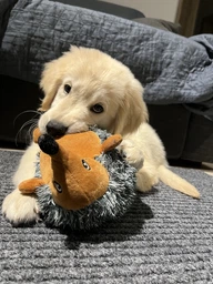 Їжачок плюшевий Trixie 34832 17 см (4047974348321)