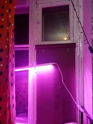 Ролета тканинна INROLL Eco-Standart 82,5х165 см Len Блакитний 2074