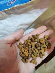 Сухой корм для взрослых кошек Purina Friskies с говядиной, курицей и овощами 10 кг фото от покупателей 16