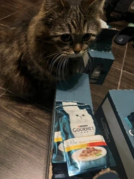 Влажный корм для взрослых кошек Purina Gourmet Perle Duo с телятиной и уткой 26х85 г фото от покупателей 2