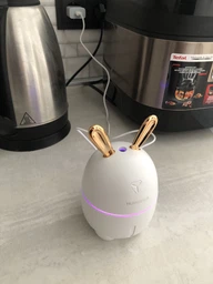 Увлажнитель воздуха зайчик Rabbit 2в1 на 300 мл детский мини персональный LED ароматизатор c подсветкой белый фото от покупателей 2