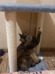 Царапка Lucky Pet домик сезалевый "Симба 2" 33 х 33 х 44 см Бежевая (4820224216171) фото от покупателей 1