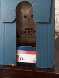 Влажный корм для взрослых кошек Purina Gourmet Perle Duo с телятиной и уткой 26х85 г фото от покупателей 1