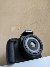 Canon EF-S 24mm f/2.8 STM фото от покупателей 13