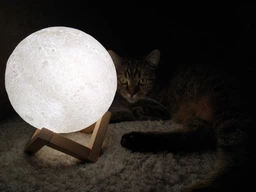 Бездротова лампа дитячий Нічник Місяць 3D AVVS tech Moon Lamp G-7 original фото від покупців 19
