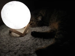 Бездротова лампа дитячий Нічник Місяць 3D AVVS tech Moon Lamp G-7 original фото від покупців 18