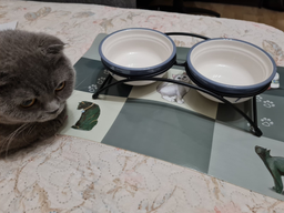 Подставка с мисками из керамики для кошек Trixie Eat on Feet 250 мл (4047974247907) фото от покупателей 14
